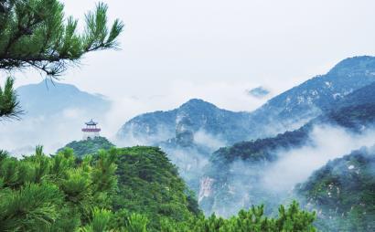 电动自行车为何频频惹火烧身